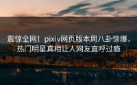 震惊全网！pixiv网页版本周八卦惊爆，热门明星真相让人网友直呼过瘾