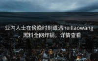 业内人士在傍晚时刻遭遇heillaowang，黑料全网炸锅，详情查看