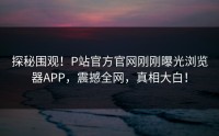 探秘围观！P站官方官网刚刚曝光浏览器APP，震撼全网，真相大白！