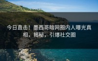 今日直击！墨西哥暗网圈内人曝光真相，揭秘，引爆社交圈