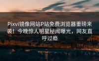 Pixvi镜像网站P站免费浏览器重磅来袭！今晚惊人明星秘闻曝光，网友直呼过瘾
