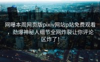 网曝本周网页版pixiv网站p站免费观看，劲爆神秘人细节全网炸裂让你评论区炸了！