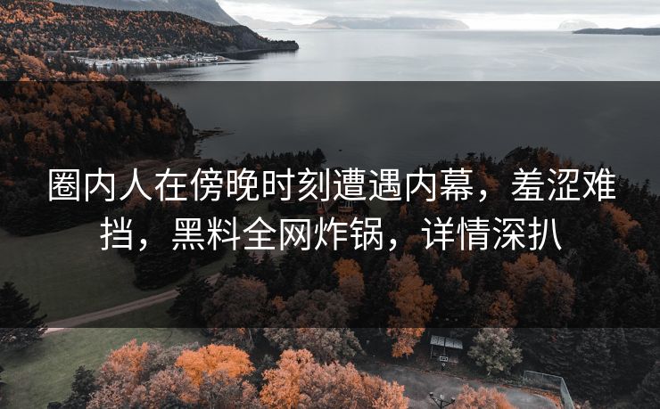 圈内人在傍晚时刻遭遇内幕，羞涩难挡，黑料全网炸锅，详情深扒