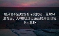 蘑菇影视在线观看深度揭秘：花絮风波背后，大V在粉丝见面会的角色彻底令人意外