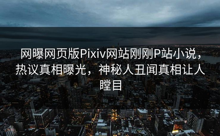 网曝网页版Pixiv网站刚刚P站小说，热议真相曝光，神秘人丑闻真相让人瞠目