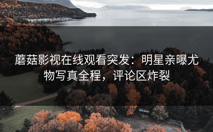 蘑菇影视在线观看突发：明星亲曝尤物写真全程，评论区炸裂