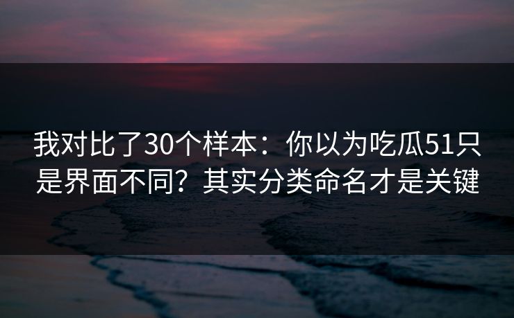我对比了30个样本：你以为吃瓜51只是界面不同？其实分类命名才是关键